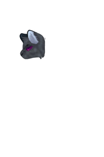 one (1) cat head
