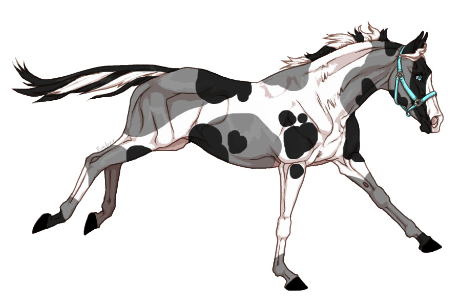 Racehorse - horse oc (new ref)