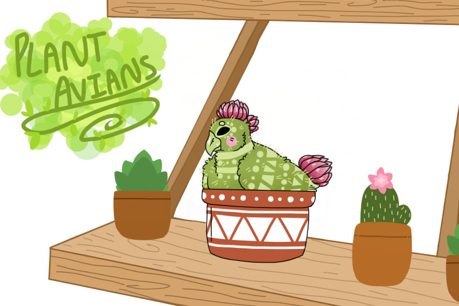 Plant Avians- Cactus