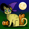 Witch Cat edit