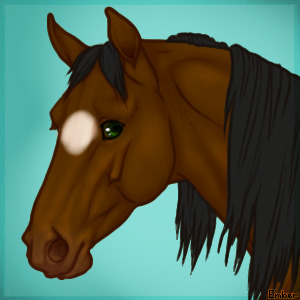 Colored-in Horse avatar