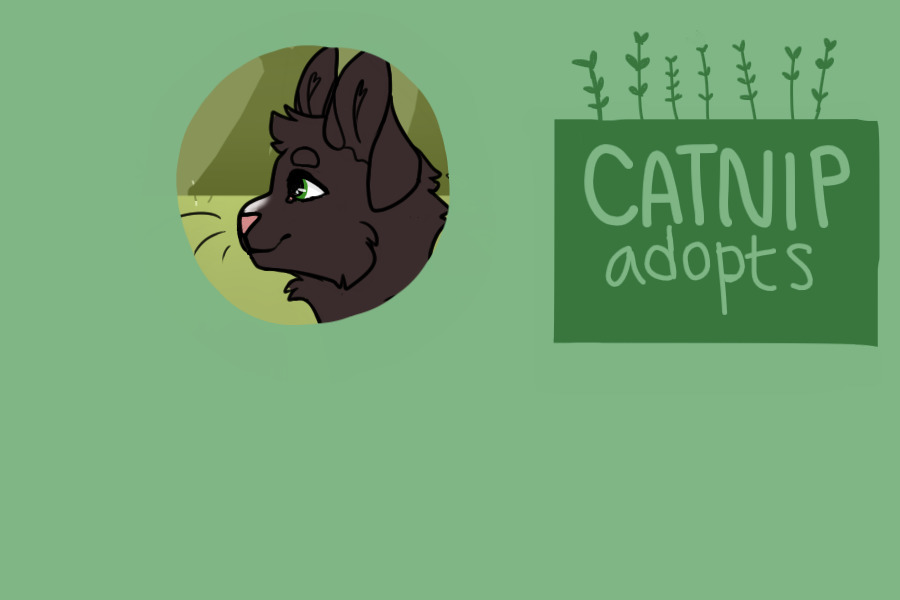 catnip adopts v2: hiring + reopened!!