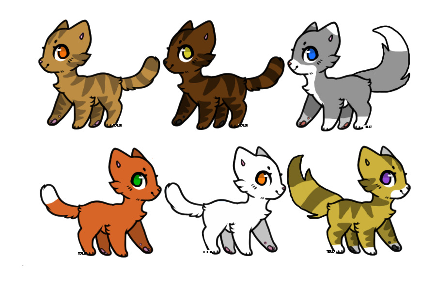 2C$ Cat Adopts!