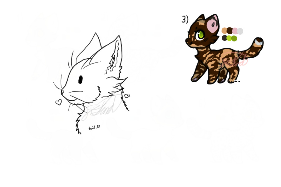 Beach Tortie Individual Ref