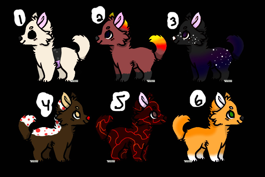 (All Gone) Pupper Adoptables