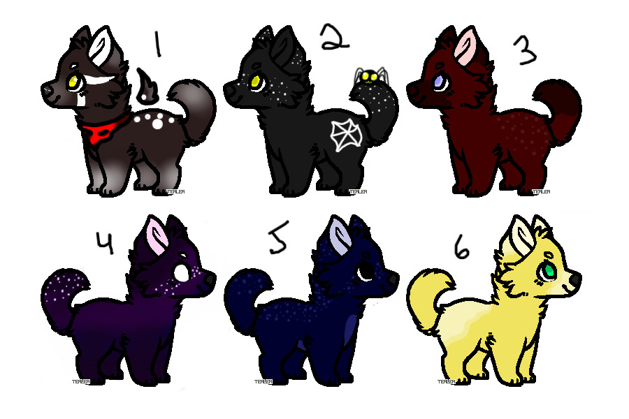 (One Left!) Pupper Adoptables 2