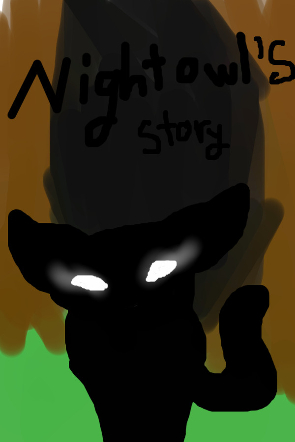 NightOwls story