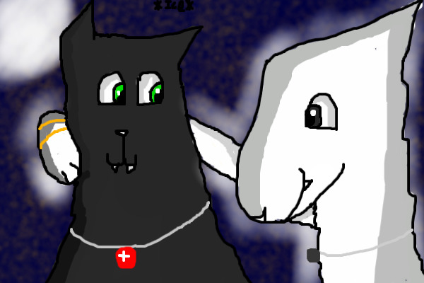 Raven and Ghost