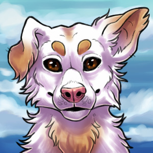 doggo