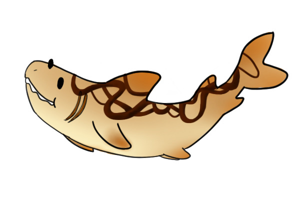 Pastry Shark (fcfs)