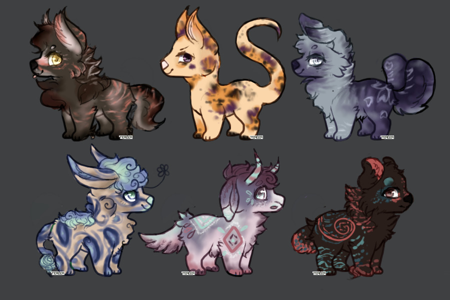 Pup Adopts - Offer to Adopt