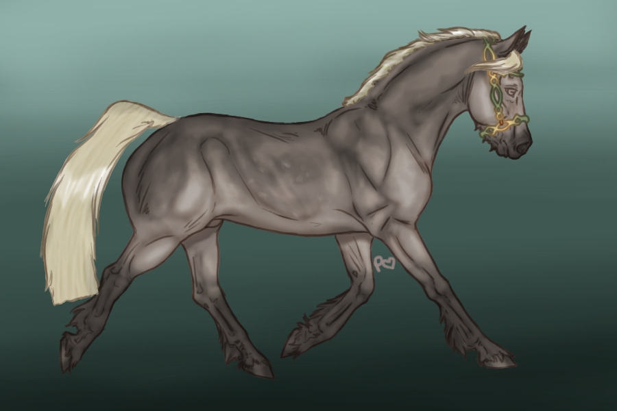 #01 Dapple Grey Stallion