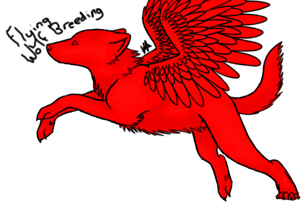 Flying Wolf Breeding Centre