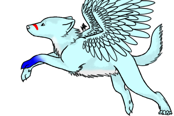Wind's Freedom