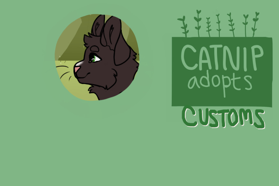 catnips customs and MYOs