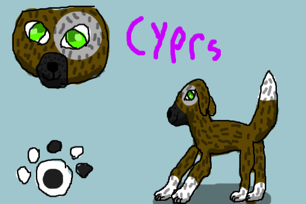 Cyprs Ref