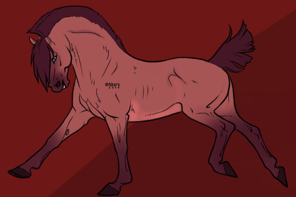 Horse Adoptable for Sale
