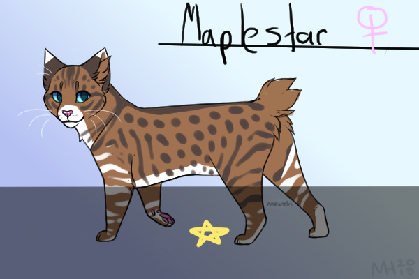Maplestar //Leader//