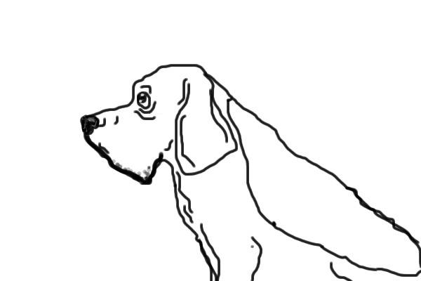 COLOR A BLOODHOUND!!!