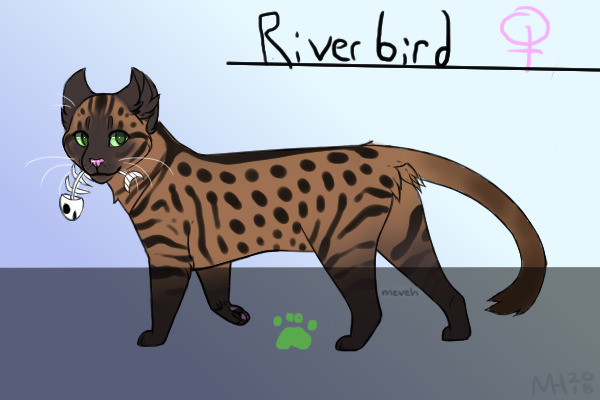 Riverbird