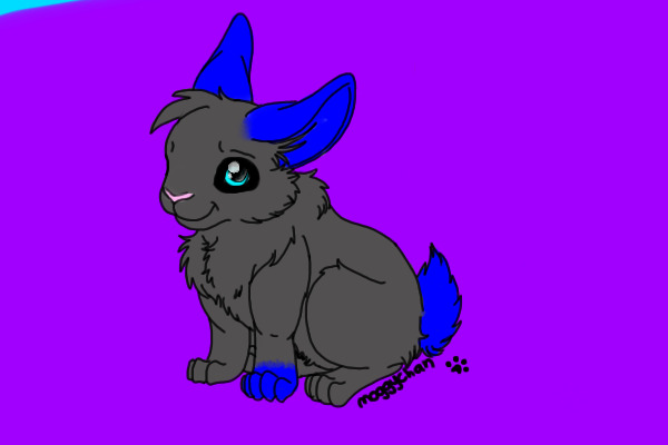 Bunny :3