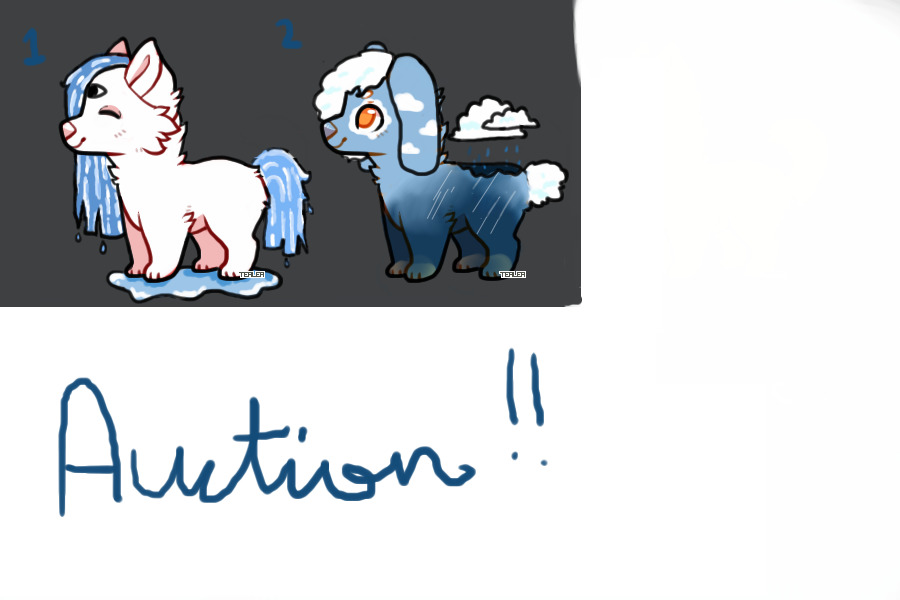 Auction: Litter #1