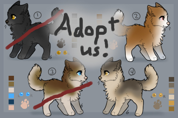 Wolf/Dog Adopts #1