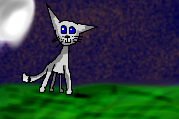 Sliverflash