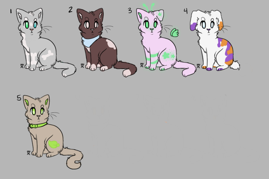 catto adopts