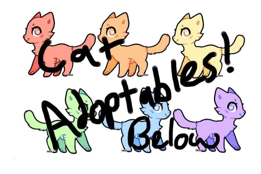 Cat Adoptables