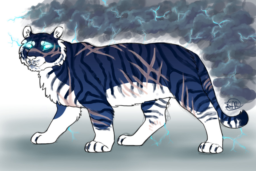 rawr I'm a tiger