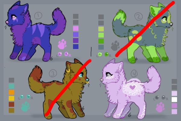 Adopt a puppy! 2 c$!