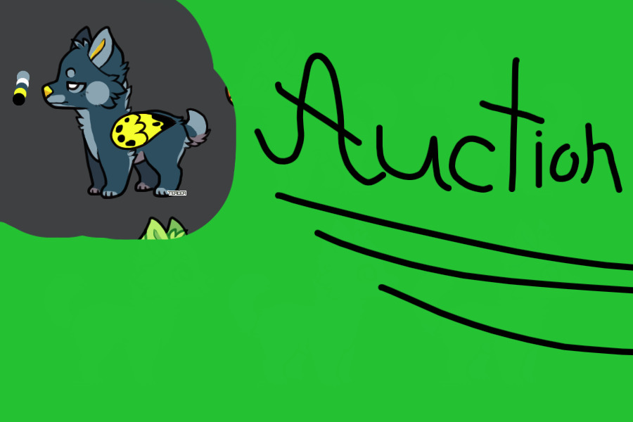 Character   Auction
