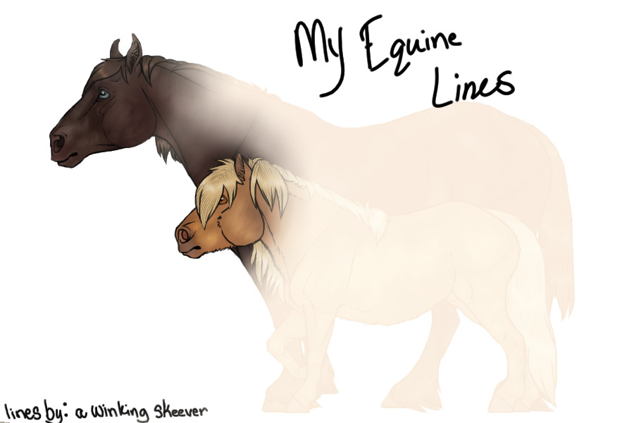 My Equine lines