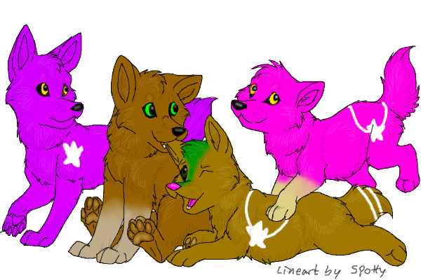 white vial's puppies.
