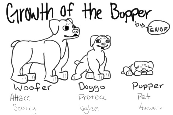 Growth of the Bupper by tenor