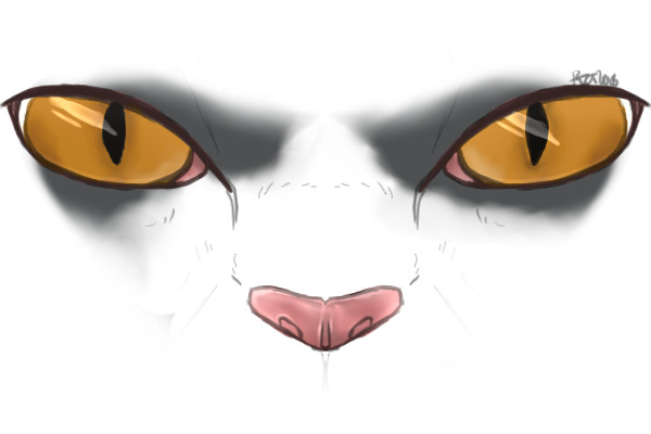 Rise Gift Lines | Branchstar's Eyes