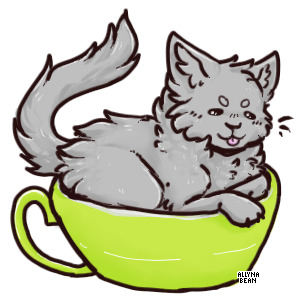 Storm Rose as a teacup kitten