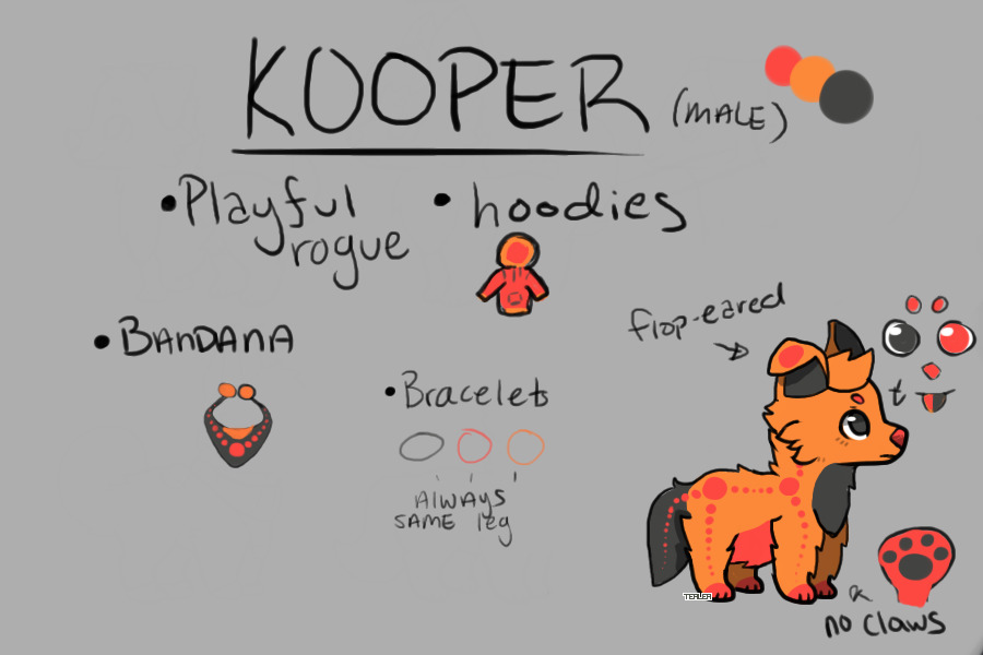 kooper (male)