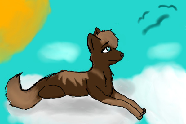 Kaycee's contest entry!