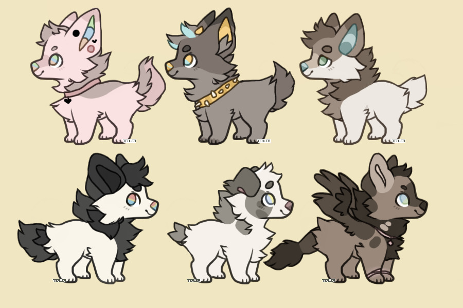 customs and adopts