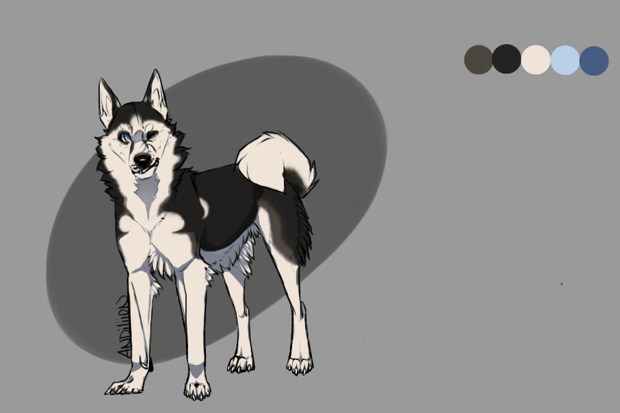 Canine #1: Siberian Husky!