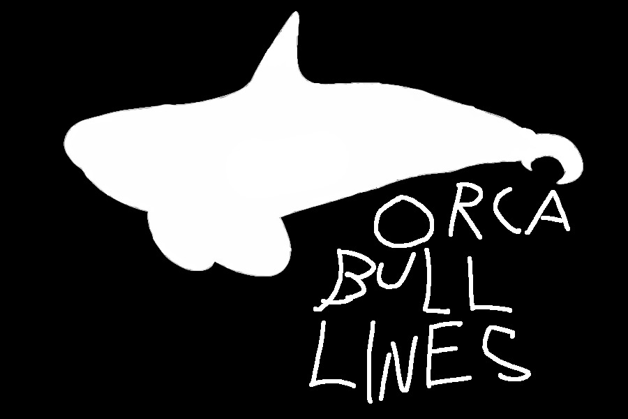 Orca Bull Lines