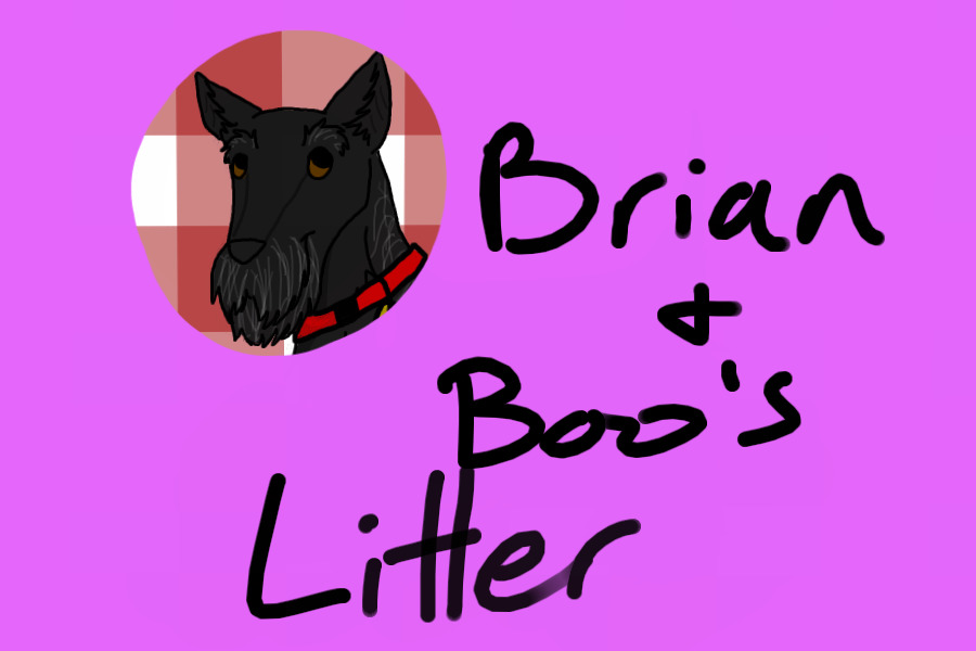 Brian and Boo's Litter