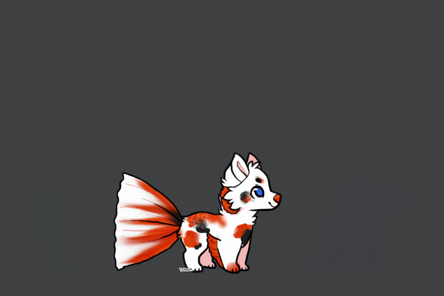 Koi Boy