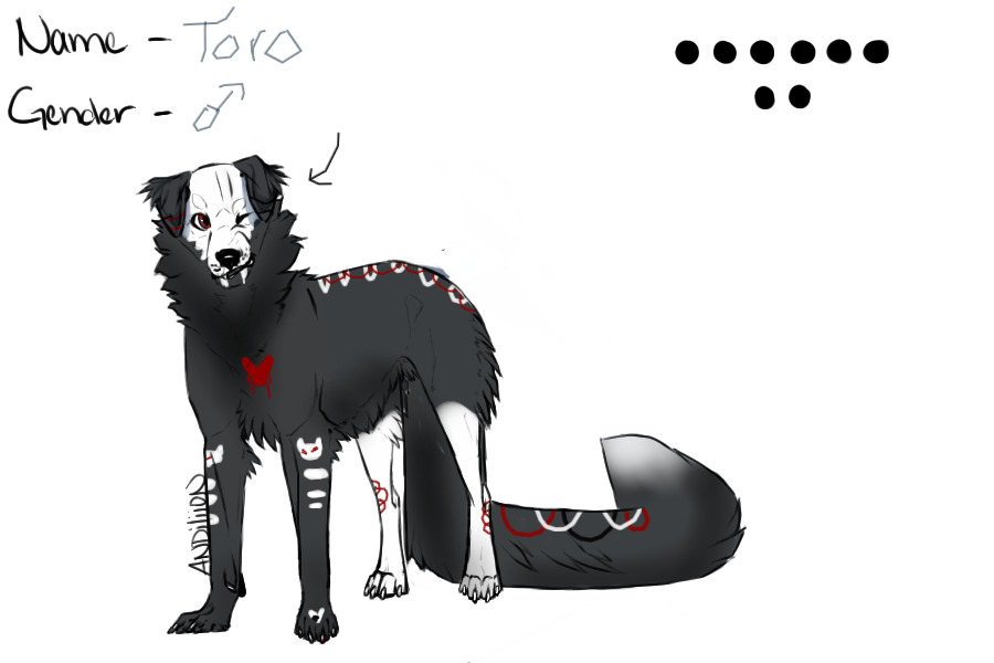 | Toro !