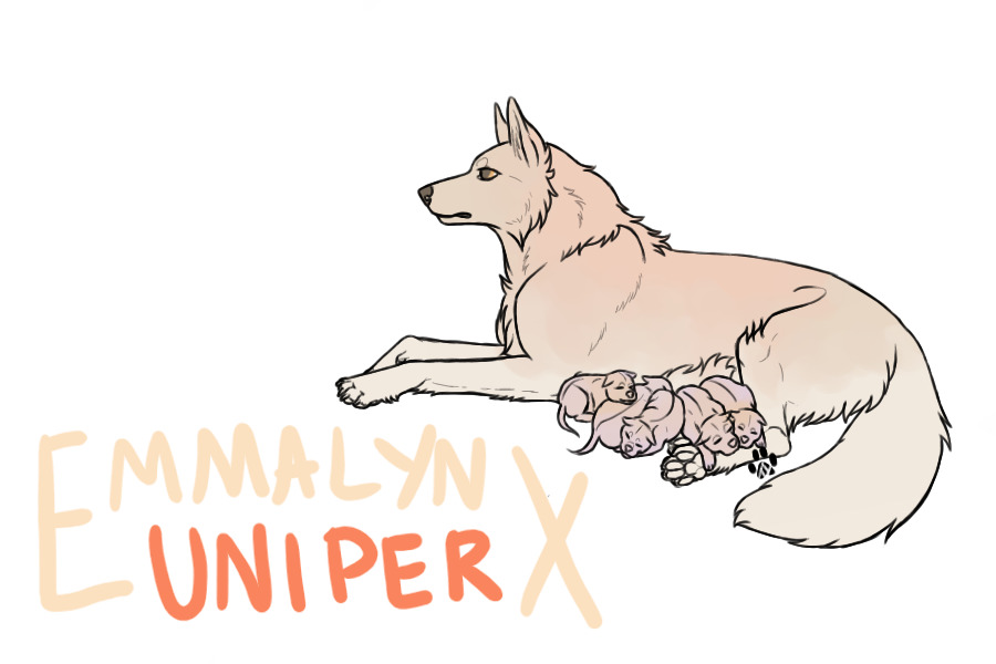 Emmalyn X Uniper pups stage 1