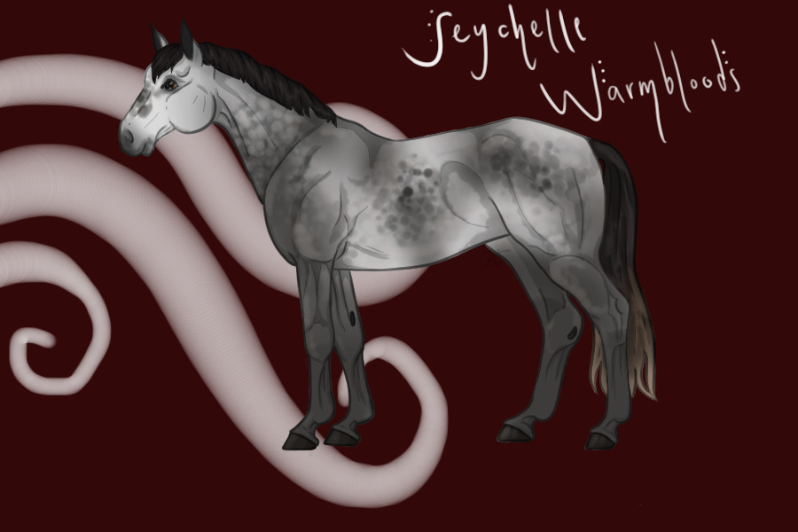 Seychelle Warmbloods - Wip please dont post