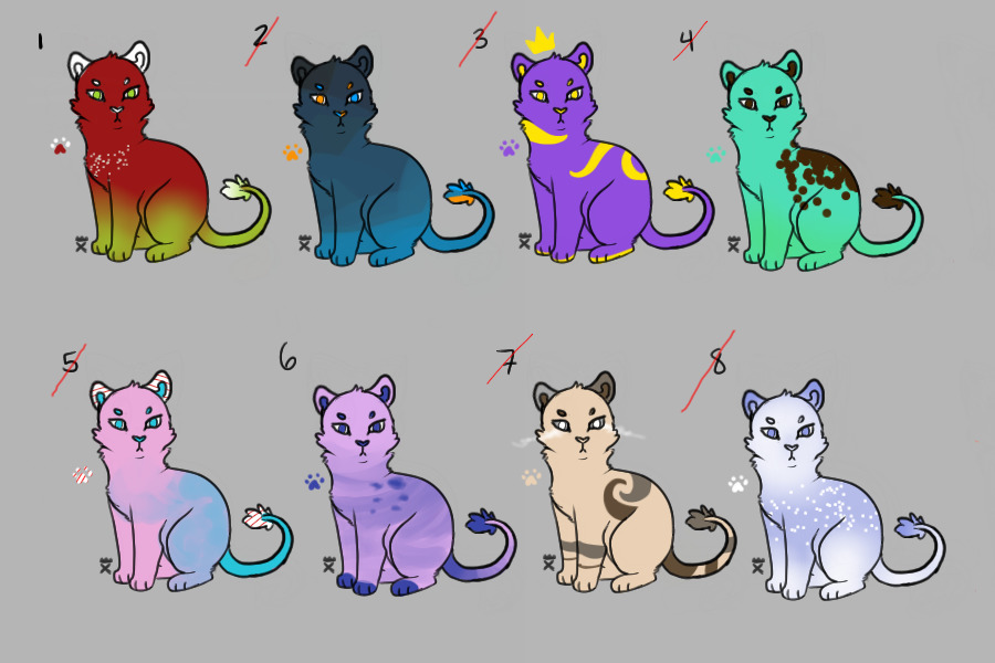 Baby Lion Adopts! Closed woops