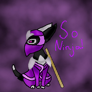 Purple Ninja Cat